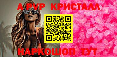 шишки Будённовск