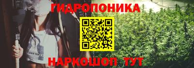 мяу мяу мука Бузулук