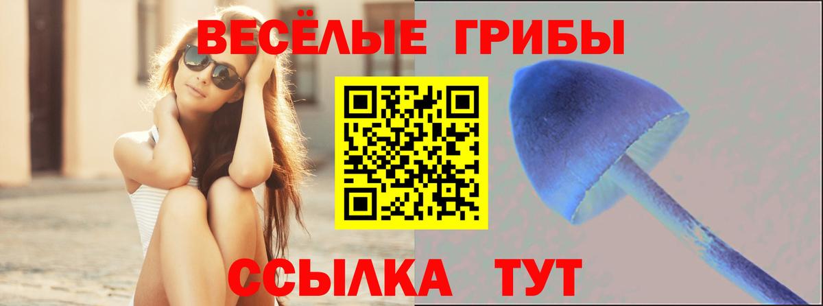 Галлюциногенные грибы GOLDEN TEACHER  Вход с VPN  Кушва 
